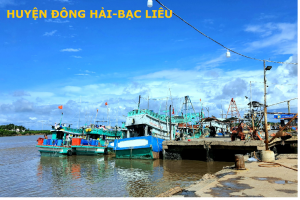 Dịch vụ thành lập công ty tại huyện Đông Hải