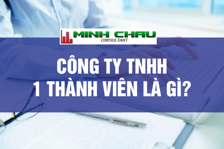 1-cong-ty-tnhh-mot-thanh-vien-o-viet-nam