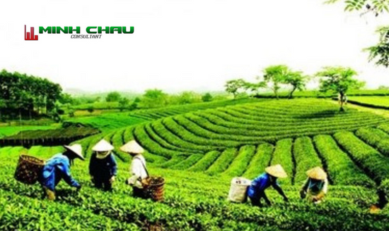 3-hop-tac-xa-co-tu-cach-phap-nhan-khong