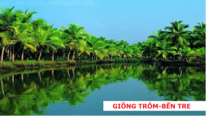 Dịch vụ thành lập công ty tại huyện Giồng Trôm